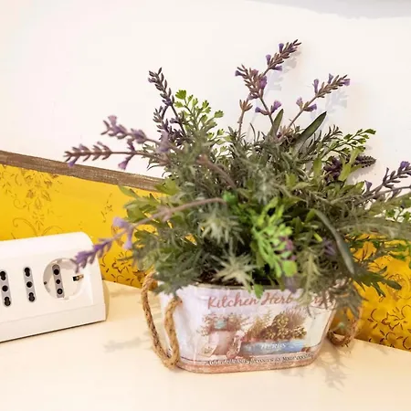 Merulana Dom wakacyjny Rzym